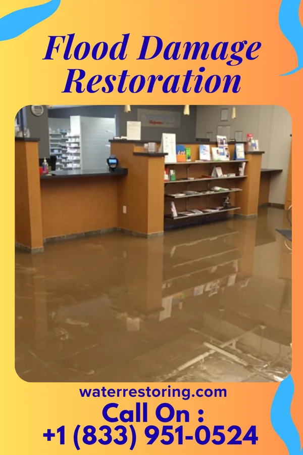 Flood Damage Restoration in Flatonia, TX
