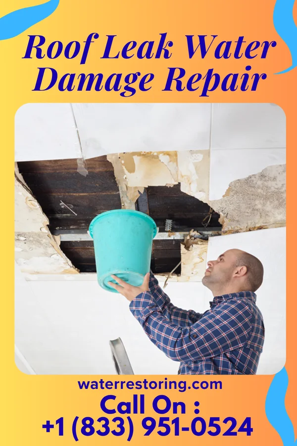 Roof Leak Water Damage Repair in Flatonia, TX