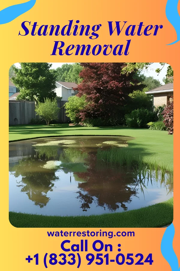 Standing Water Removal in Flatonia, TX